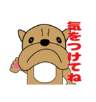 ぶるぶるブルドッグ1（個別スタンプ：14）