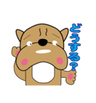 ぶるぶるブルドッグ1（個別スタンプ：21）