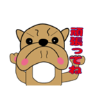 ぶるぶるブルドッグ1（個別スタンプ：23）