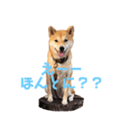 柴犬はっぱの日常（個別スタンプ：2）