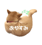 柴犬はっぱの日常（個別スタンプ：12）