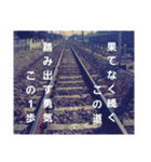 写真で伝える言葉（個別スタンプ：1）