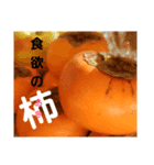 写真で伝える言葉（個別スタンプ：4）