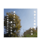 写真で伝える言葉（個別スタンプ：6）