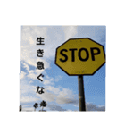 写真で伝える言葉（個別スタンプ：7）