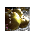 写真で伝える言葉（個別スタンプ：8）