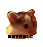 ★いちご日記★ベビー期含む（個別スタンプ：1）