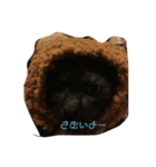 Nicholas dump（個別スタンプ：6）
