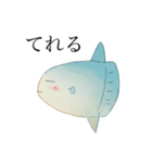 海のほわほわスタンプ（個別スタンプ：1）