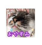 いねくん＆よねちゃん（個別スタンプ：4）