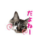 いねくん＆よねちゃん（個別スタンプ：6）