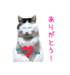 いねくん＆よねちゃん（個別スタンプ：15）
