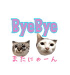 いねくん＆よねちゃん（個別スタンプ：18）