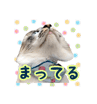 いねくん＆よねちゃん（個別スタンプ：19）