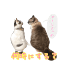いねくん＆よねちゃん（個別スタンプ：21）