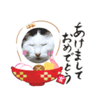 いねくん＆よねちゃん（個別スタンプ：22）