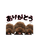 コロンボファミリー（個別スタンプ：2）