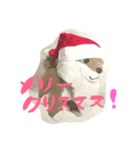 まゆによるまゆのためのイーヌスタンプ①（個別スタンプ：1）