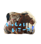まゆによるまゆのためのイーヌスタンプ①（個別スタンプ：2）