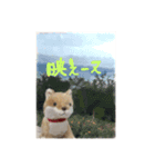 まゆによるまゆのためのイーヌスタンプ①（個別スタンプ：3）