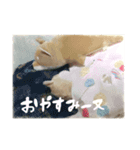 まゆによるまゆのためのイーヌスタンプ①（個別スタンプ：6）