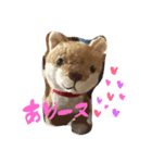 まゆによるまゆのためのイーヌスタンプ①（個別スタンプ：7）