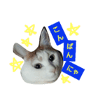 シロップにゃん（個別スタンプ：7）