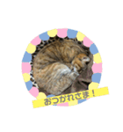 ナナさん。2（個別スタンプ：1）