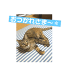 ナナさん。2（個別スタンプ：3）