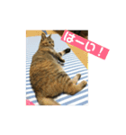 ナナさん。2（個別スタンプ：5）