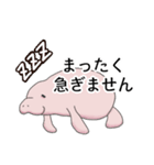 マナティー 大人の敬語スタンプ（個別スタンプ：10）