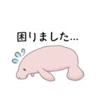 マナティー 大人の敬語スタンプ（個別スタンプ：21）