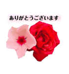 きれいなお花のスタンプpart3（個別スタンプ：1）