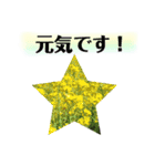 きれいなお花のスタンプpart3（個別スタンプ：6）