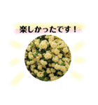 きれいなお花のスタンプpart3（個別スタンプ：9）