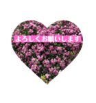 きれいなお花のスタンプpart3（個別スタンプ：10）