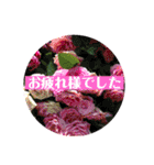 きれいなお花のスタンプpart3（個別スタンプ：13）