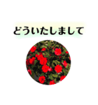 きれいなお花のスタンプpart3（個別スタンプ：17）