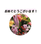 きれいなお花のスタンプpart3（個別スタンプ：18）