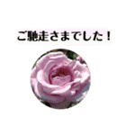 きれいなお花のスタンプpart3（個別スタンプ：23）