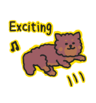 ポメラニアンのぽめお！！（個別スタンプ：13）