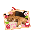 みるくとトム（個別スタンプ：3）