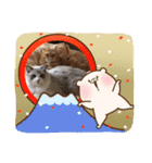 みるくとトム（個別スタンプ：8）