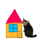 猫のとらさんスタンプ。。パートⅡ（個別スタンプ：28）