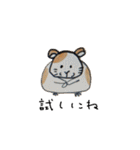 むぎちゃんとるなちゃん（個別スタンプ：13）