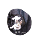 【そらスタンプ】（個別スタンプ：1）