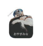 【そらスタンプ】（個別スタンプ：2）