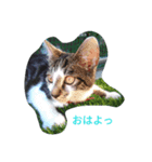 【そらスタンプ】（個別スタンプ：4）