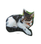 【そらスタンプ】（個別スタンプ：5）