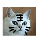 ゆきの顔（個別スタンプ：15）